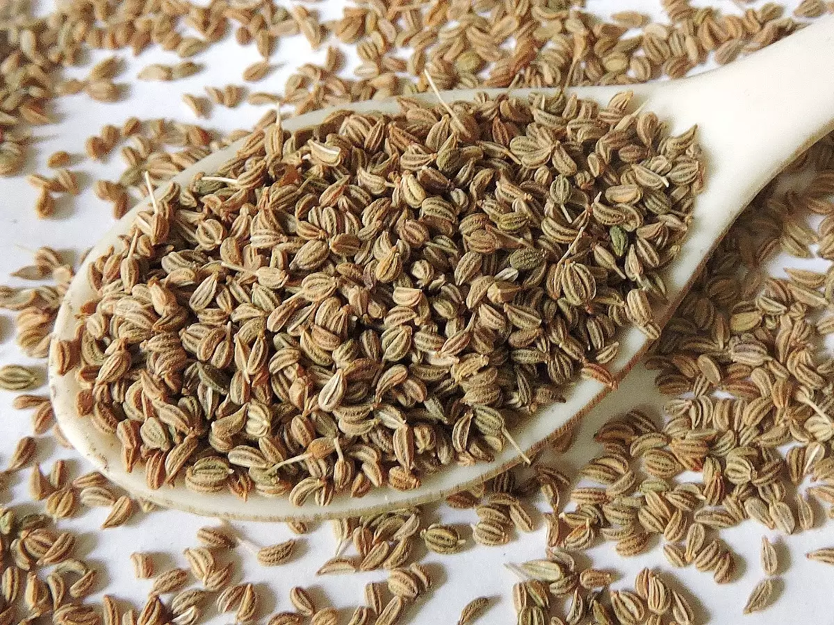 Carom Seeds(Ajwain)